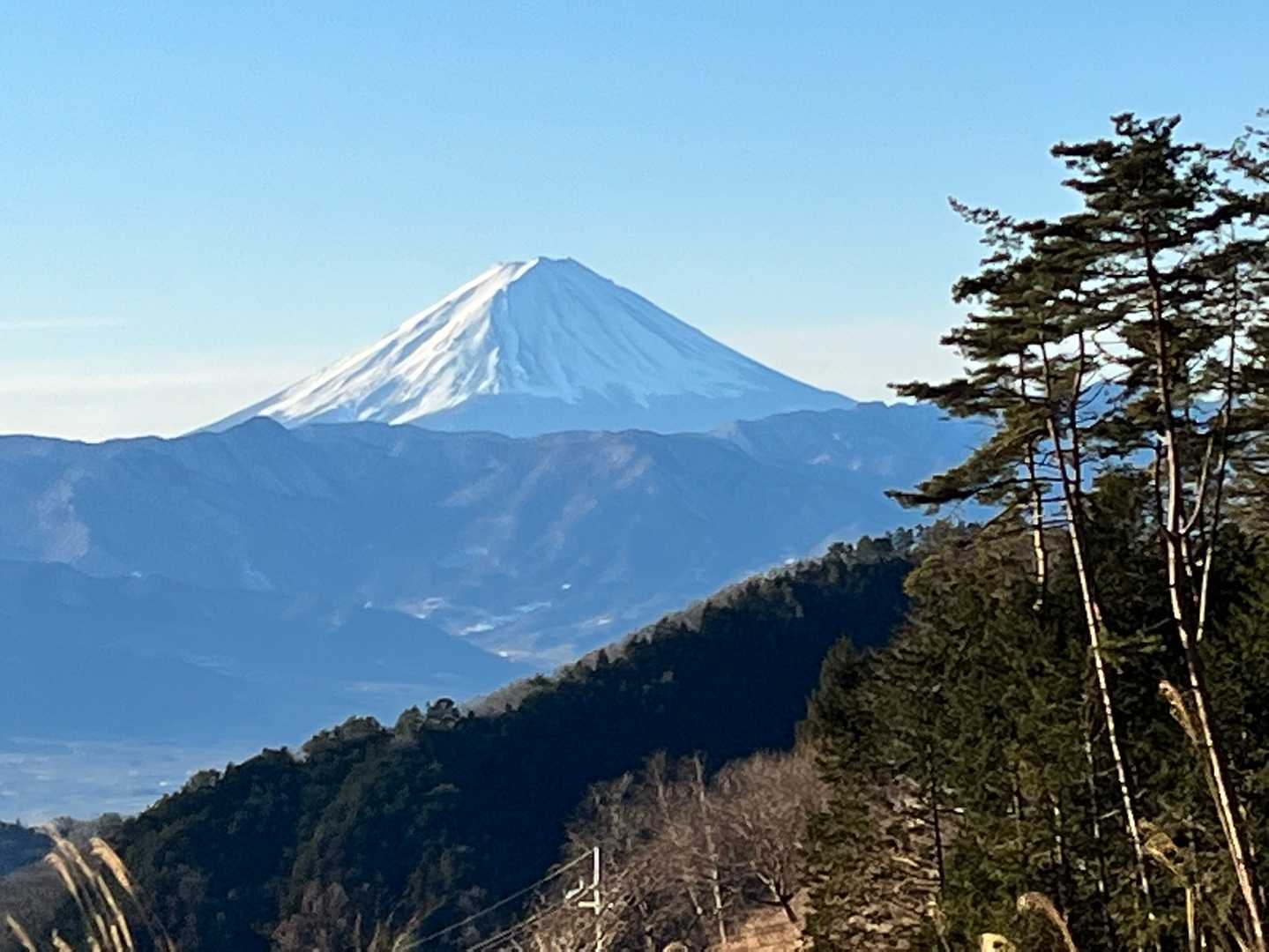 小楢山（フフ山梨登山口）＜母恋し道＞の写真