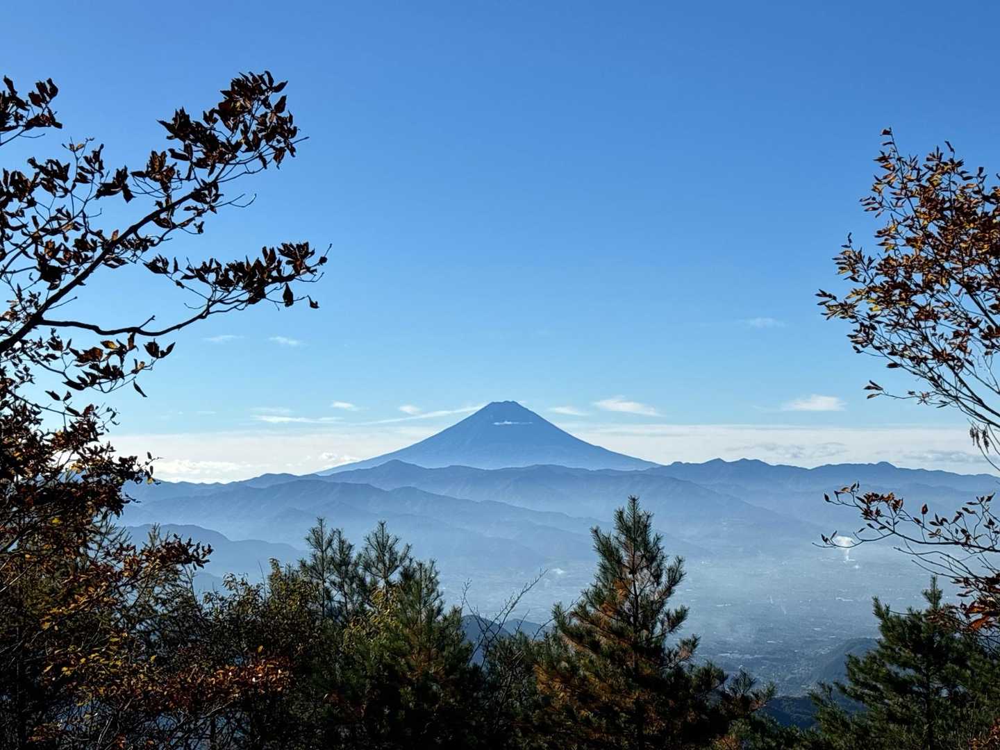 道満尾根は富士山が見える場所が多いです♪