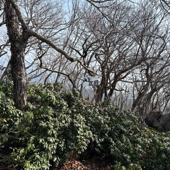 山上庭園到着、ここまでも何気にきつかった💦