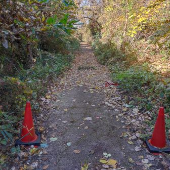 立ち入り禁止のバーがなくなってたので少し奥まで行ってみた。