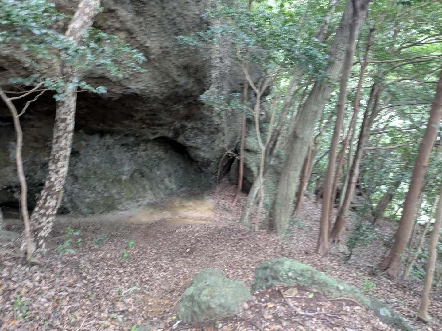 竜門ダム登山口-牧ノ山 周回コースの写真