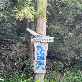 丸山湿原へ