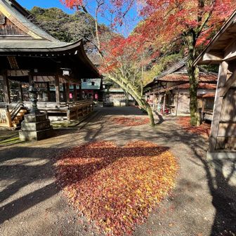 🍂宮司さんやるね👍