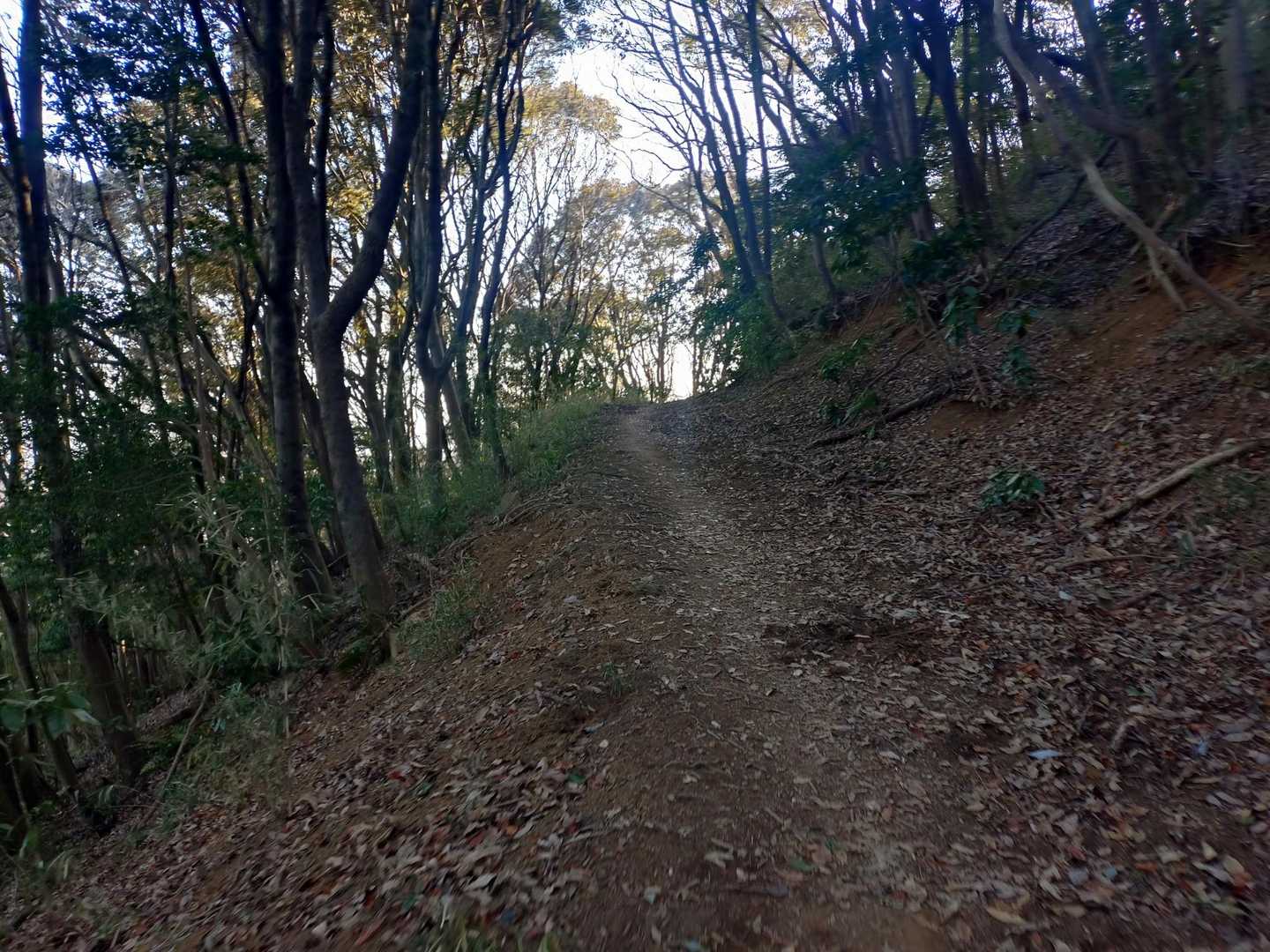 危険がところがほぼないお山ですね🎶