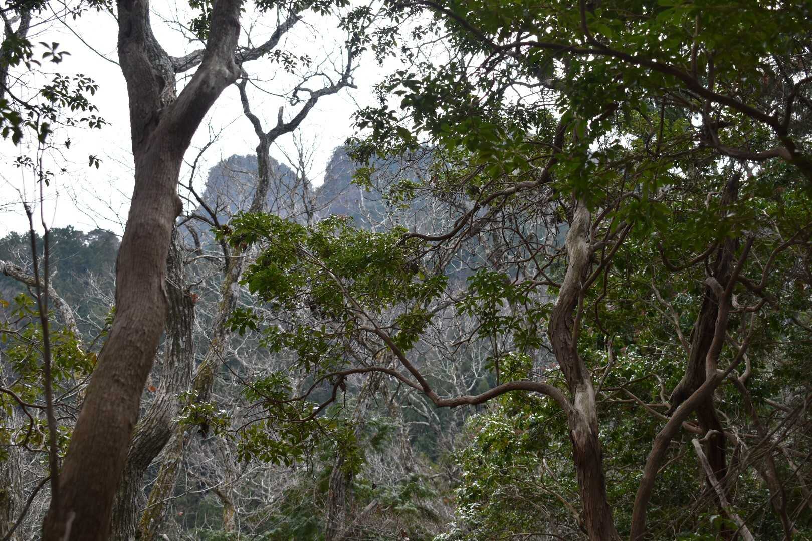 大鈴山の写真