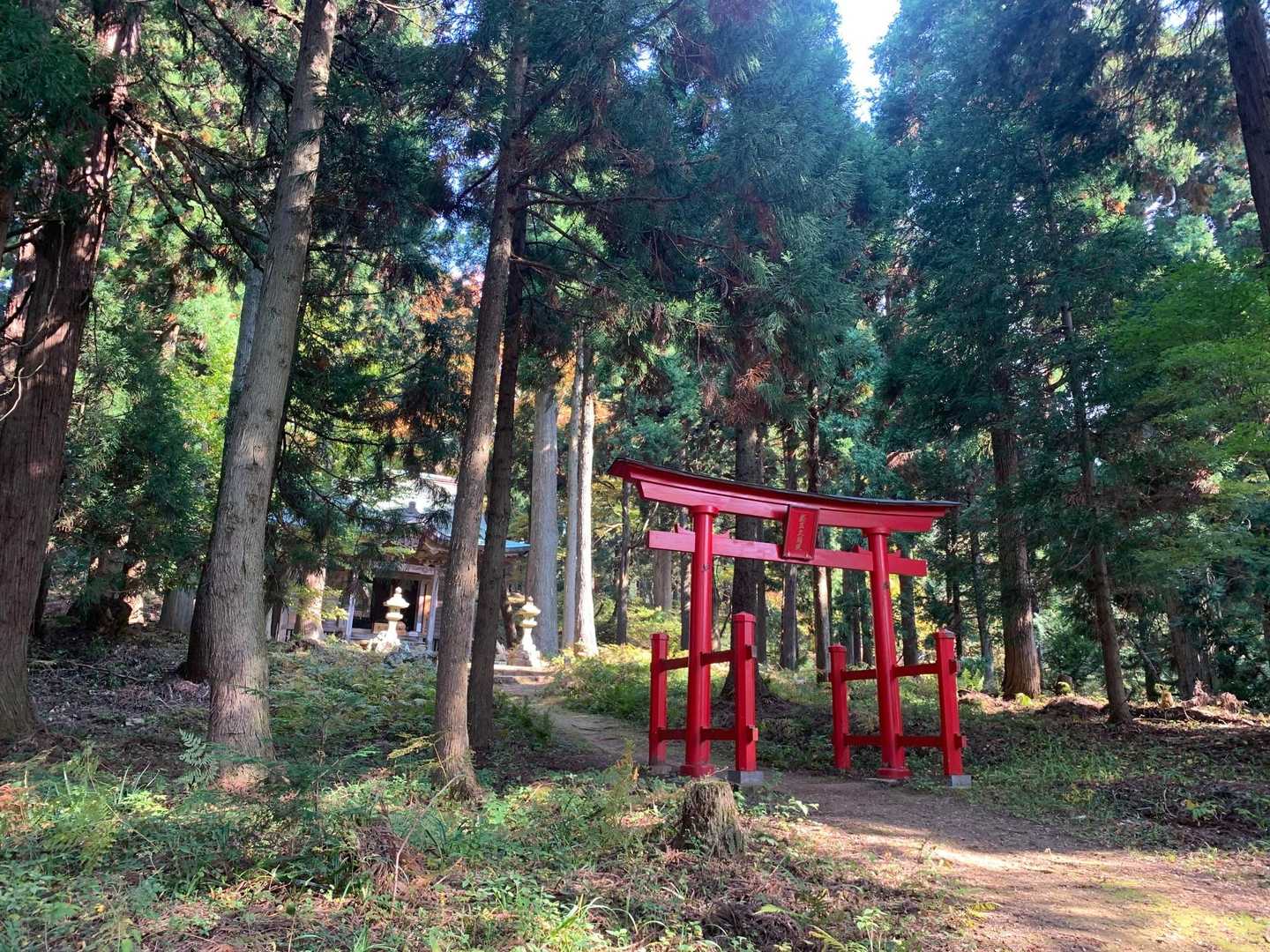 蔵王神社が見えてきました⛩