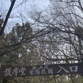 護摩堂山の駐車場はたくさん車がありました