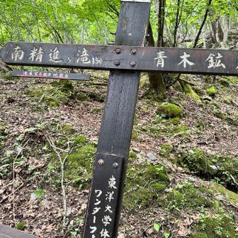 やっとひとつ目の滝