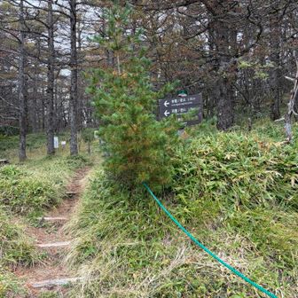 最後の登りに向かいます。