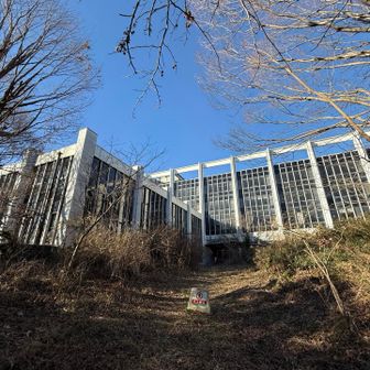 野村総合研究所跡地
まだ立派な建物がそのまま残ってた。
秘密基地みたい🤣