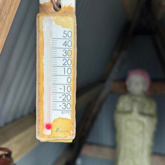 土日は暖気だったのに今日はさびっ