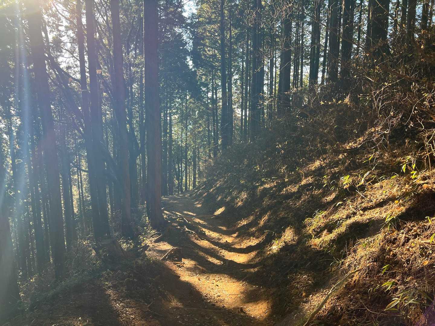 ではでは御岳山へ
