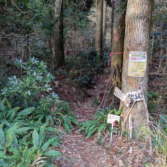 ダートな砂利道を３㌔程🛻上がって…↑此処からスタート🧎杖をお借りしますよ!