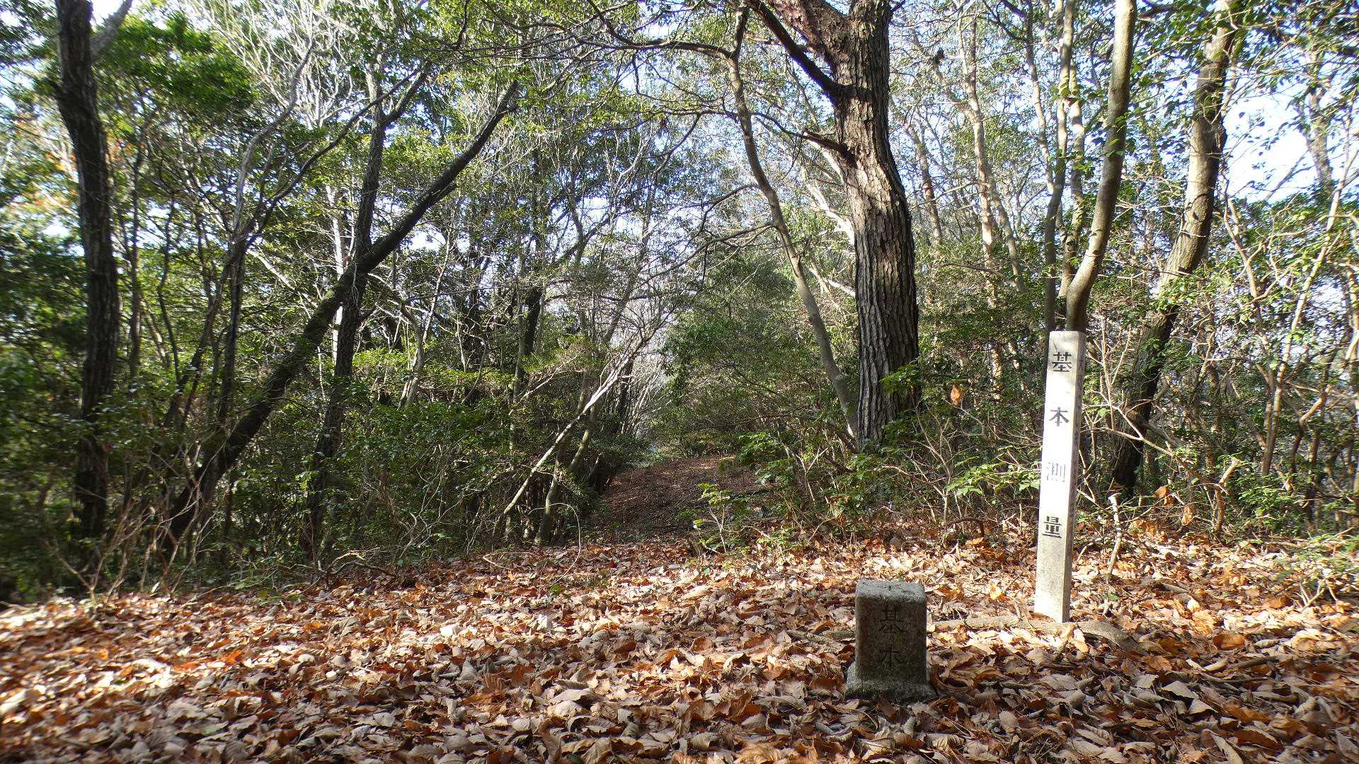 布山山頂
四等三角点
基準点名：花茎山（はなくきやま）
昭和26年設置のわりに標石がとてもきれい。

このルート、あまりの人気の無さに標石を踏みつける登山者が少ないからか。