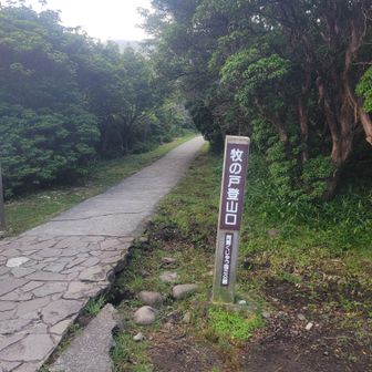 
流星群観賞のあと一眠りして、朝のお山歩✨

いちおうここ撮っておく習慣📷
