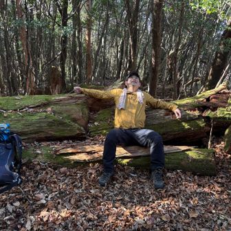頂上にはこんな素敵なベンチがありました。
