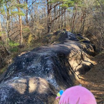 この岩の上で
すってーん転んだよー いでがった