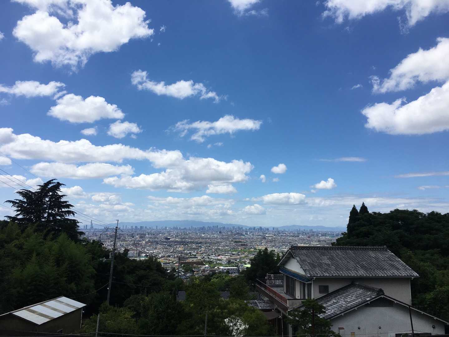 やっぱり都会が見える👀