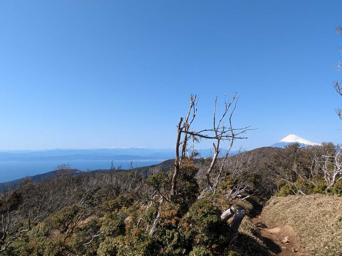 戸田峠-金冠山-小達磨山 周回コースの写真