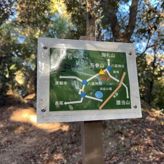 風が強くて腰当山は次回に持ち越し