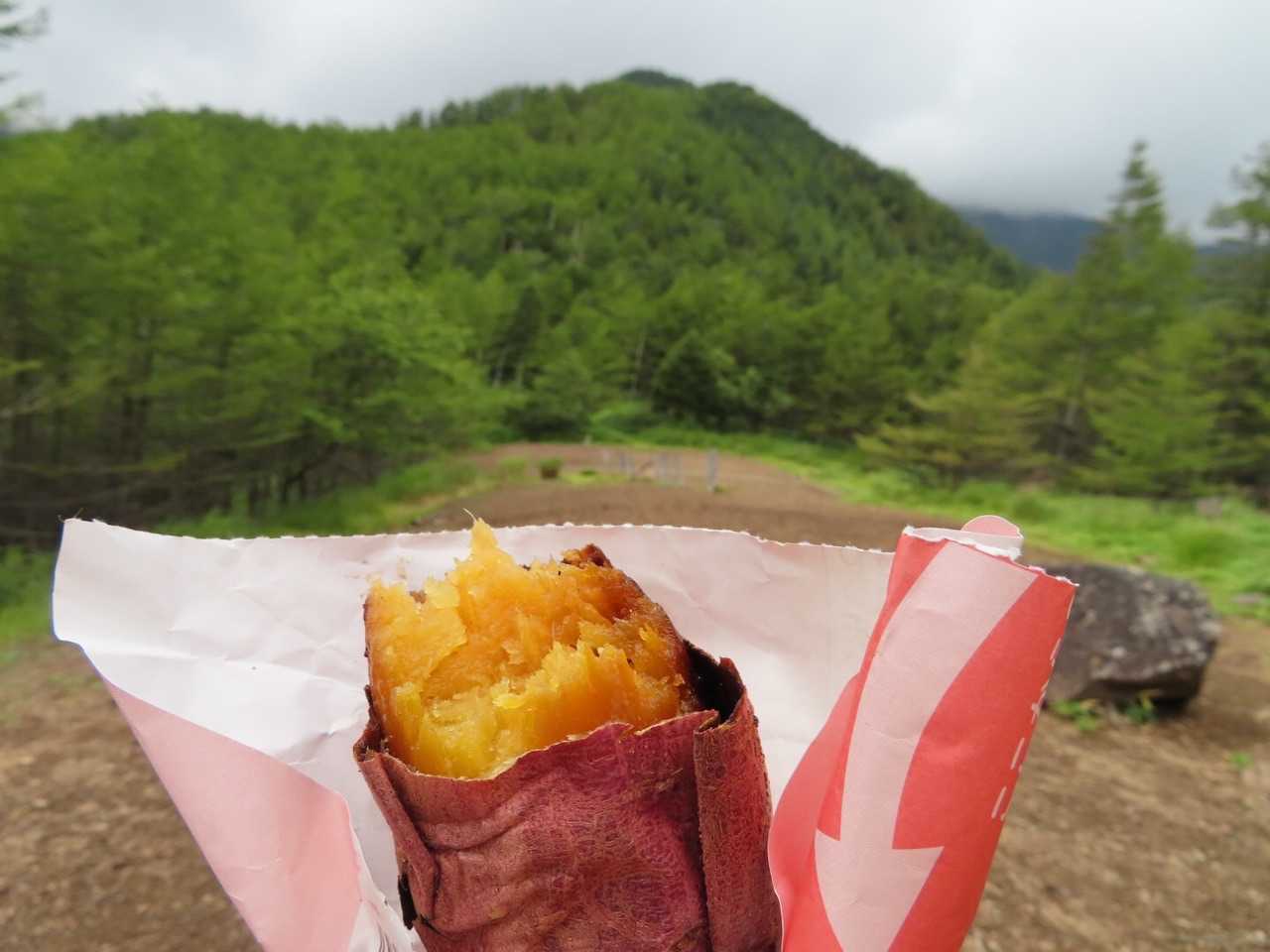 ちょっと大きい方を私にくれたみたい
感謝しません
だって私が持って来たんだから^_^