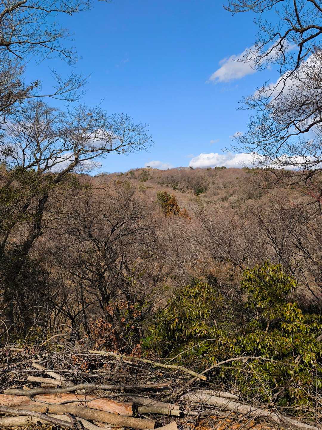 助川山 往復コースの写真