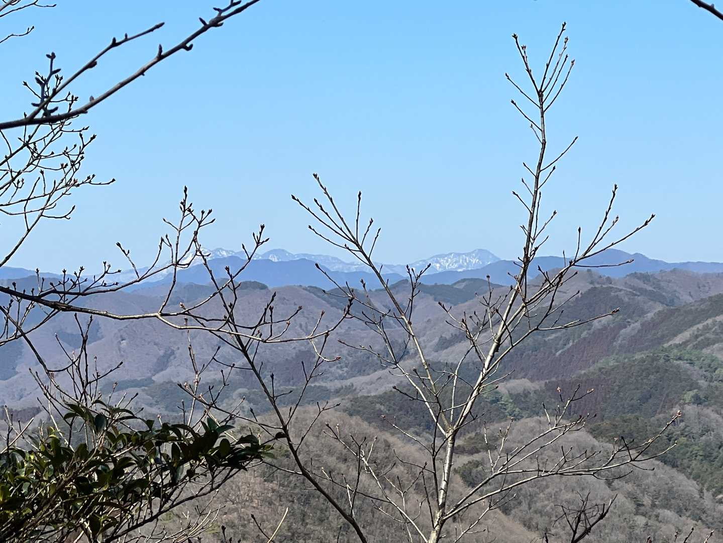 皇海山🤩