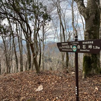 シャガクチ丸山