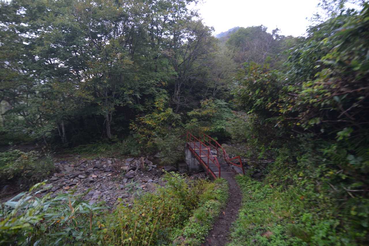 ハナゲ沢に掛かる橋を渡ると、登山開始！気合を入れ直して進みます