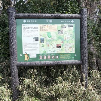 天園コース案内
