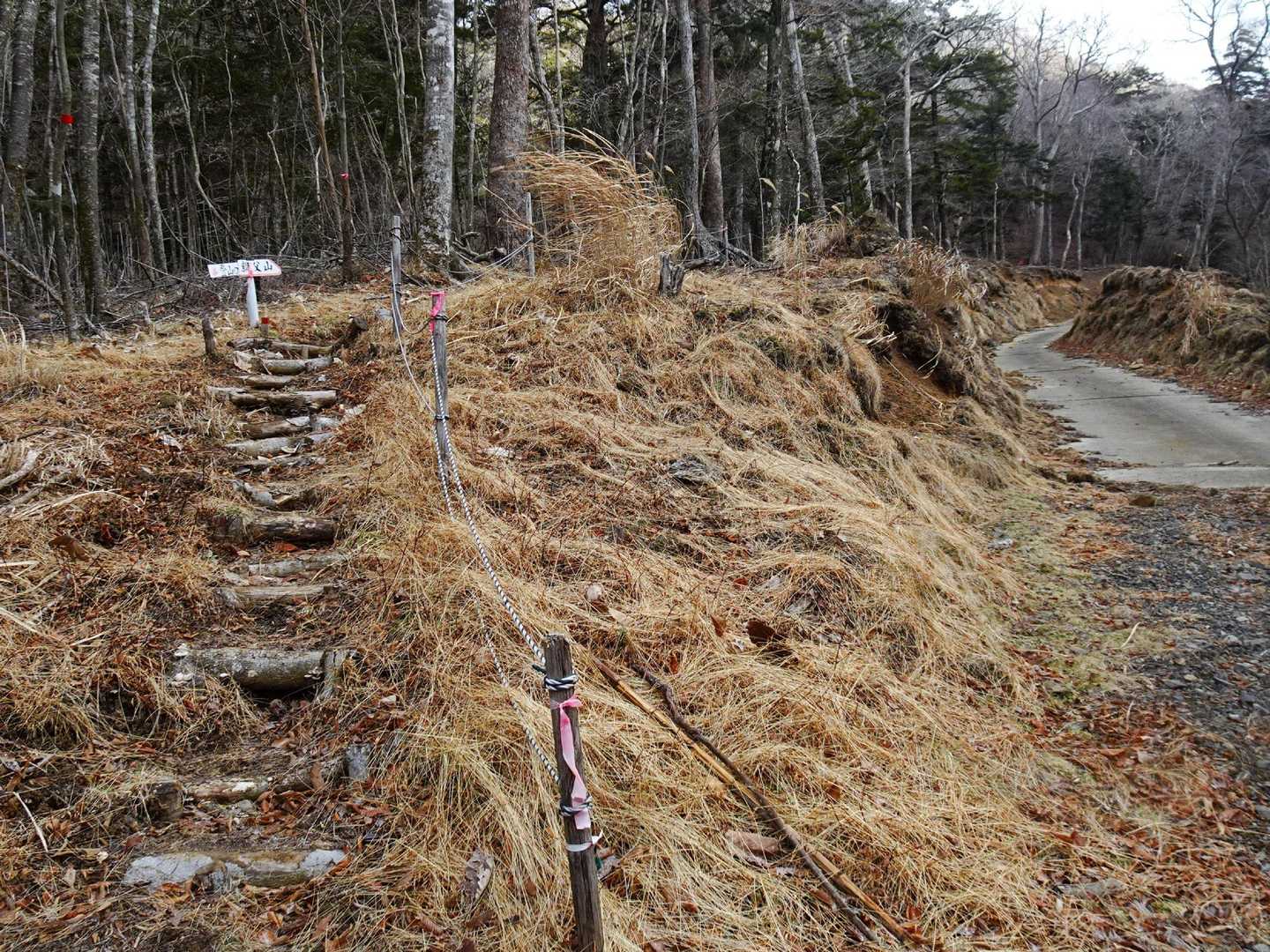 林道から登山道へ。