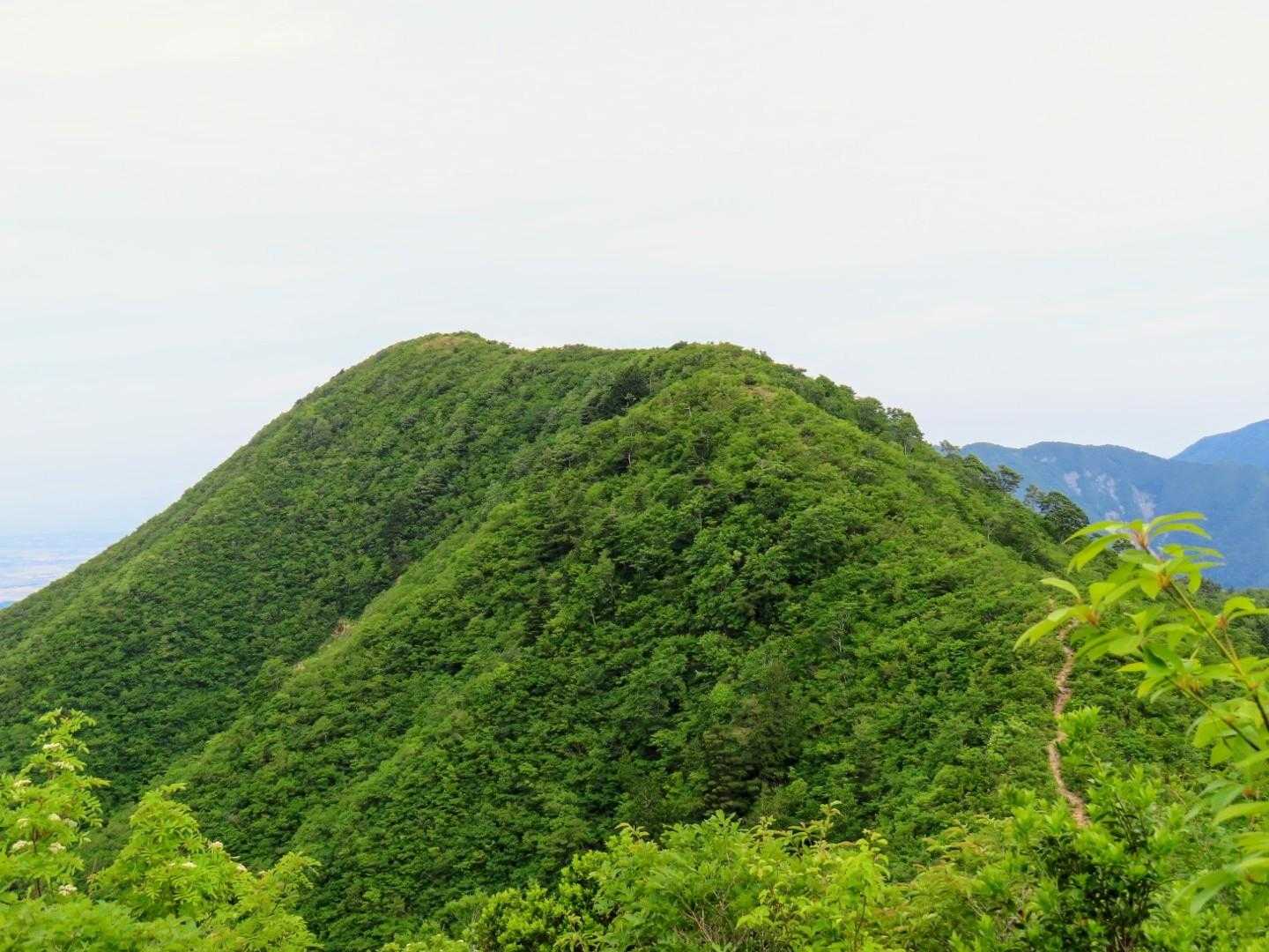 北丈競山-丈競山 往復コースの写真