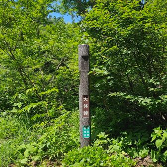 大休峠着
おおー、解放された～😭
これからは楽な下りやー。
ルーファイも要らん～✌
