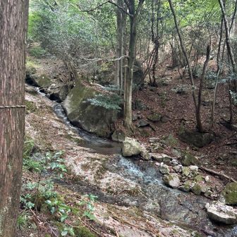 龍が瀧の少し上流。
