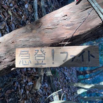 実は直角に貼られている看板