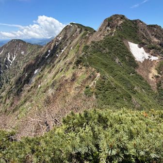霞沢岳K1ピークにはなんとか登頂。
思った以上に時間がかかってしまったことでさらに進むと予約しているバスに間に合わなくなってしまうこと、登る力が全く残っていないことから、霞沢岳への登頂は諦めました。
霞沢岳がこれほどまでに登頂が大変な山だとは想像していませんでした。反省です。