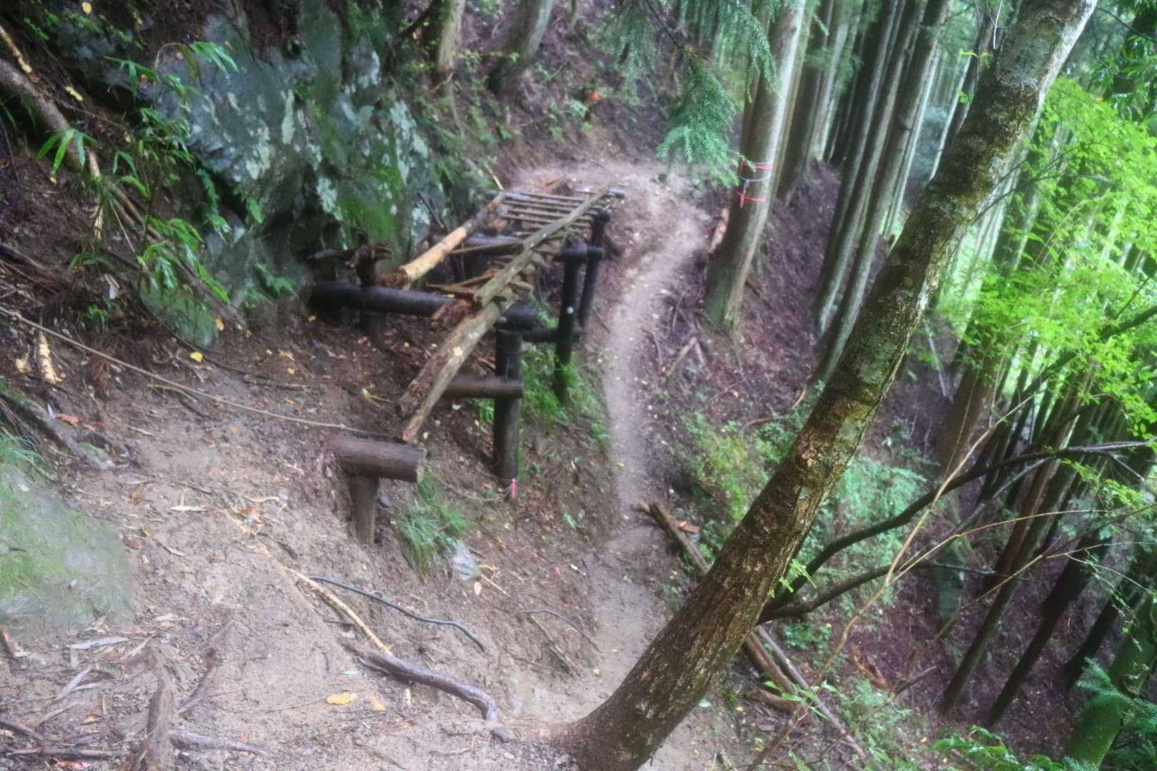 この木橋、前回は通れましたが、崩れ落ちそうだった記憶がありました。そして、今日は崩れ落ちていました。右を慎重に歩きます。