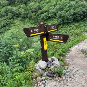 乗越沢
東鎌尾根の水俣乗越との分岐