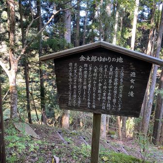 ランチに寄ります