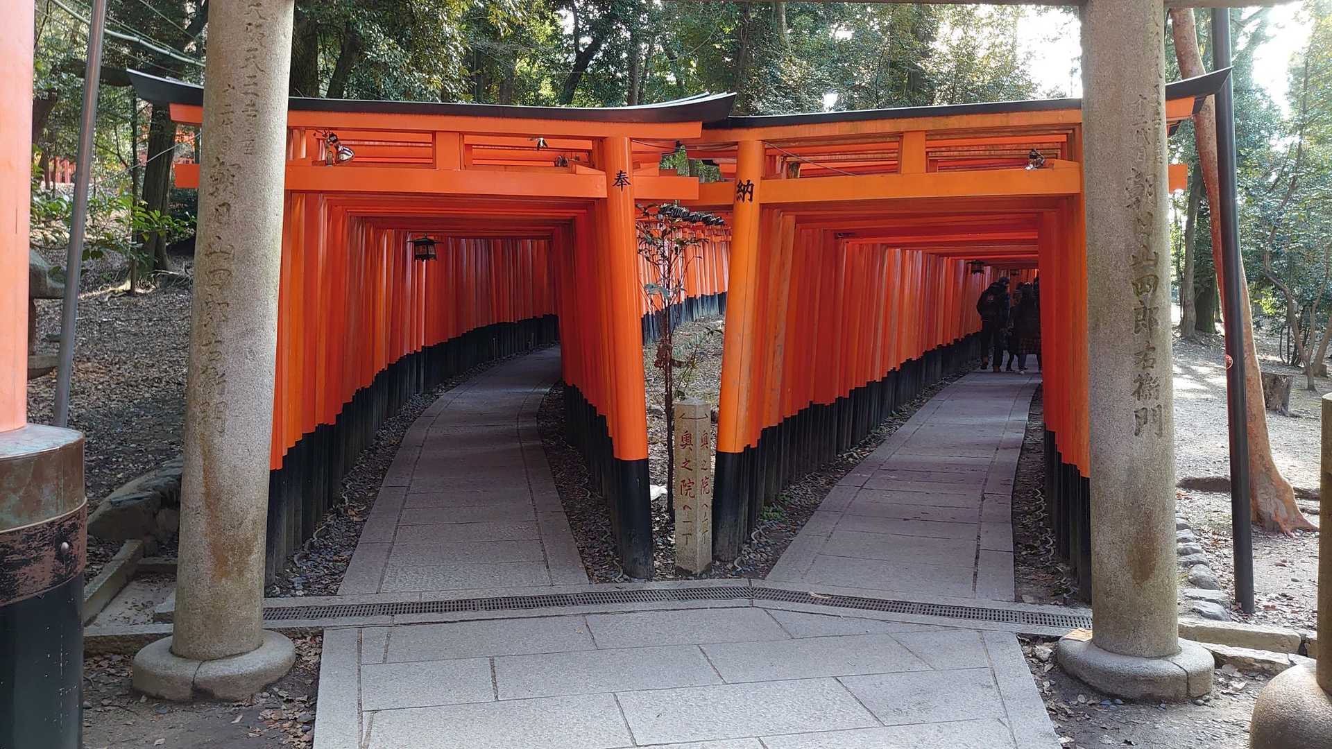 千本鳥居🎵