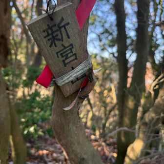 新宮山⛰️