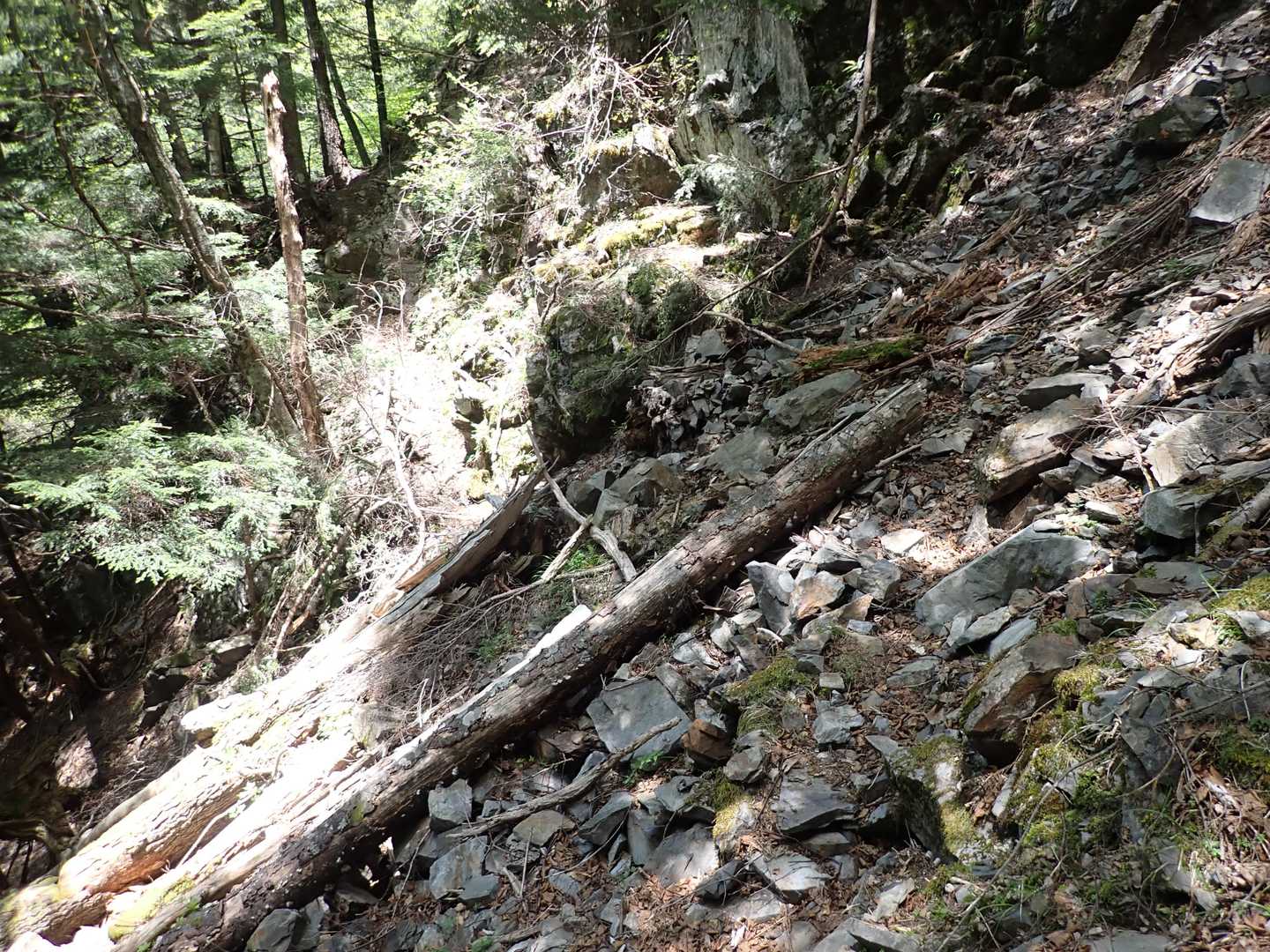笊ヶ岳登山口-笊ヶ岳 往復コースの写真