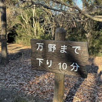 万野方面に下ります