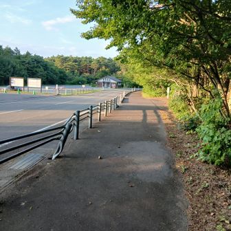 私の後ろに頂上分岐からの夫婦1組いました