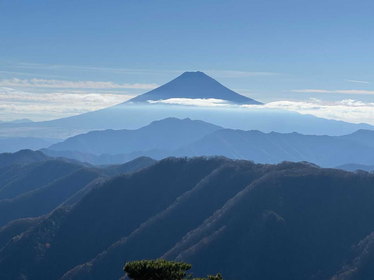 湯ノ沢峠登山口-湯の沢峠-白谷小丸-大蔵高丸-ハマイバ丸 周回コースの写真