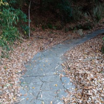 ここからスタート！