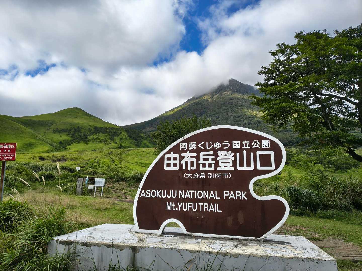 平日の午後でも無料駐車場にはたくさんの🚗が。