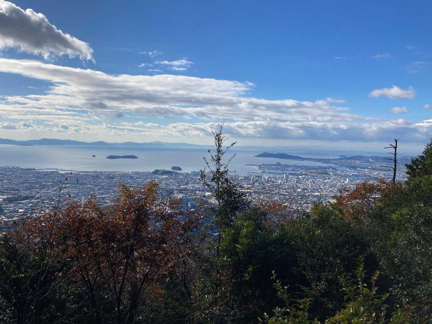 この時期の五井山は歩きながらチラチラ海が見えて楽しい