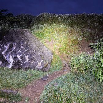 道路に出て右手、少し下ったところの左側に登り口があります