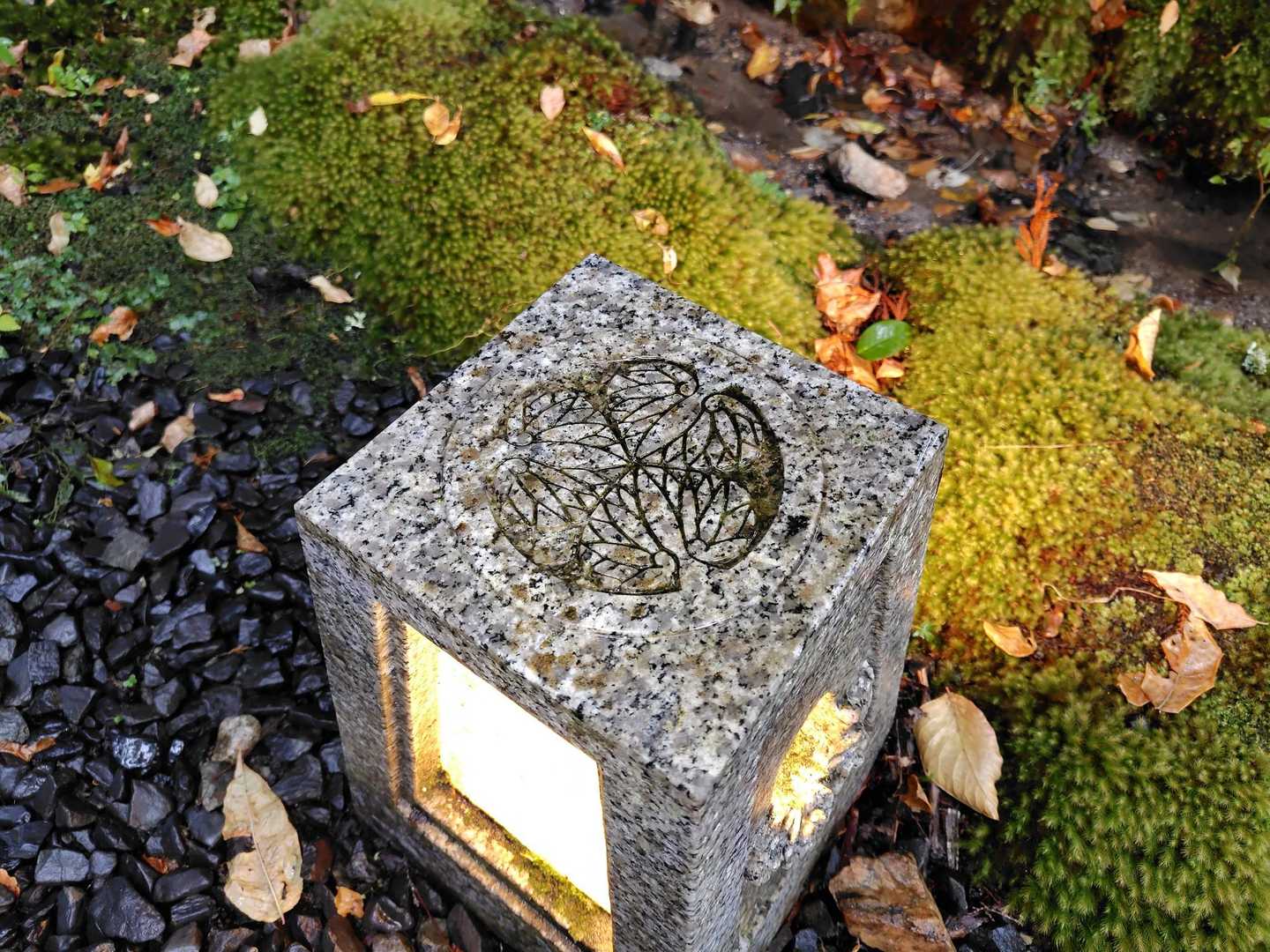 葵の御紋✨️